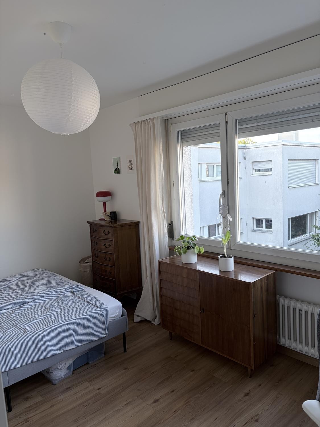 Room in a shared flat