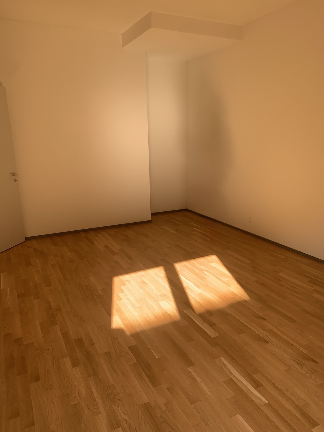 2 ½ Zimmer Wohnung