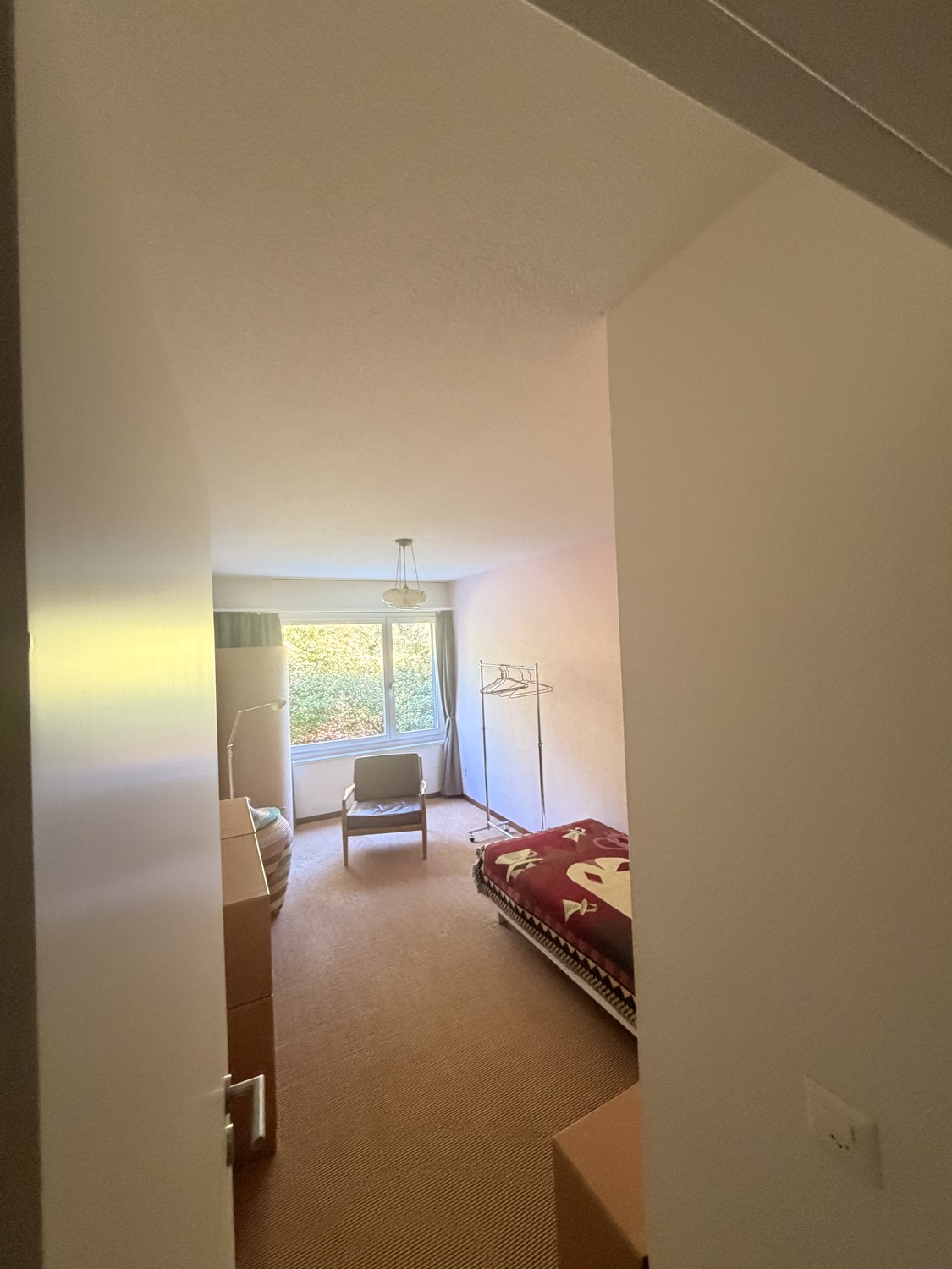 Room in a shared flat