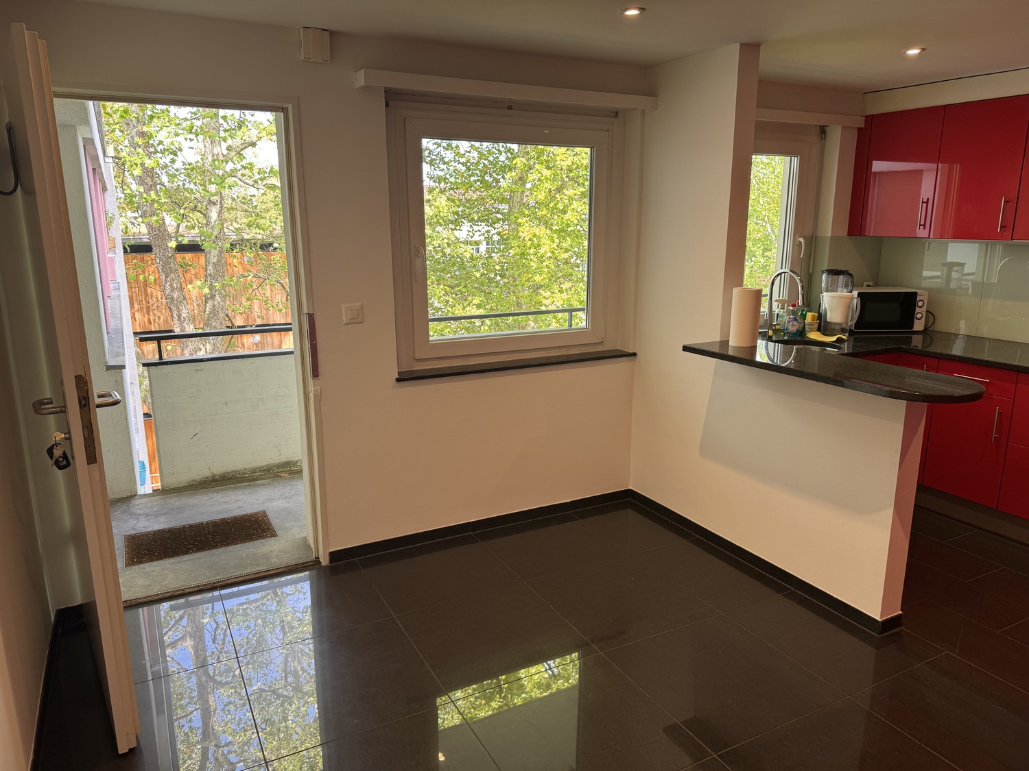 2 ½ rooms apartment