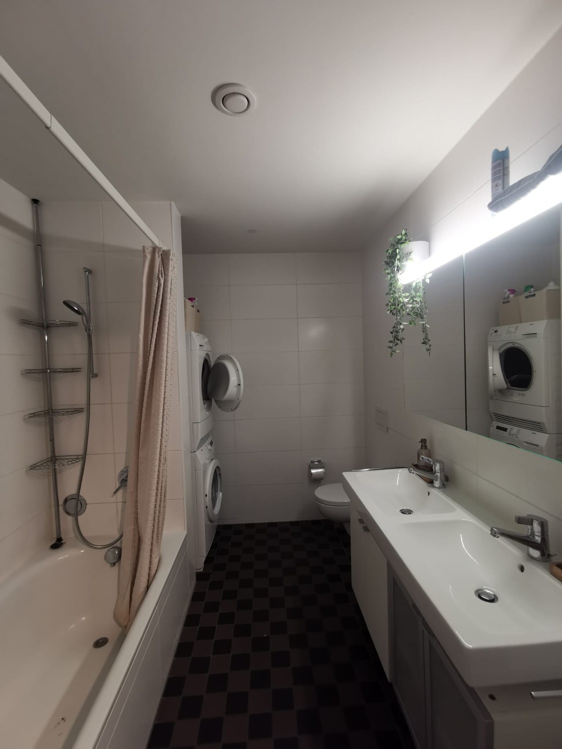 Room in a shared flat