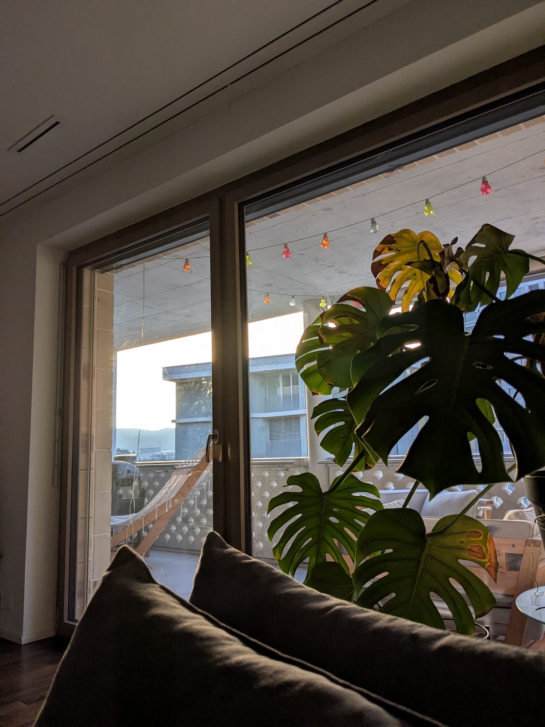 Room in a shared flat